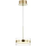 Подвесной светодиодный светильник ODEON LIGHT AKELA 4729/14L