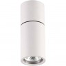 Потолочный светильник ODEON LIGHT DUETTA 3582/1C