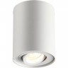 Потолочный светильник ODEON LIGHT PILLARON 3564/1C