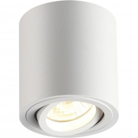 Потолочный светильник ODEON LIGHT TUBORINO 3567/1C