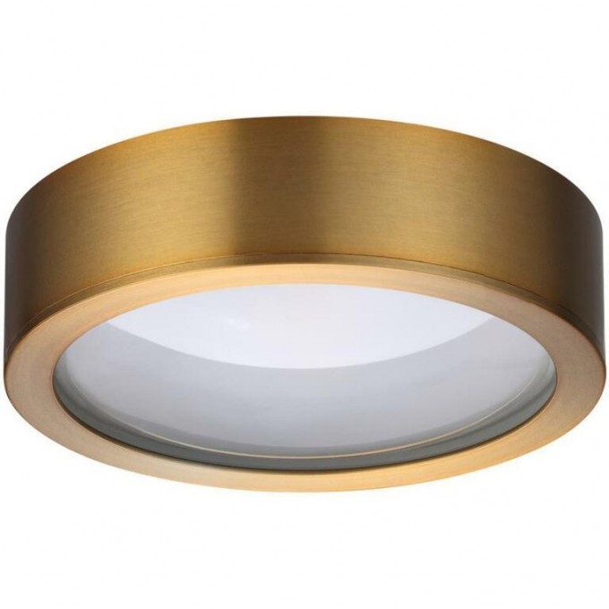 Потолочный светодиодный светильник ODEON LIGHT REUS 4342/7CL